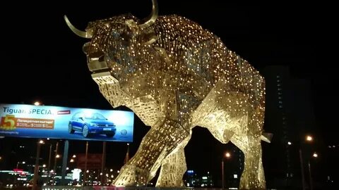 Зубр минск