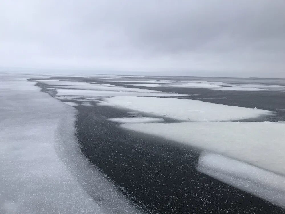 Кобона Ладожское озеро. Петровичева Ладожское озеро зимой. Ладожское озеро зимой рыбалка. Лед на ладожском озере