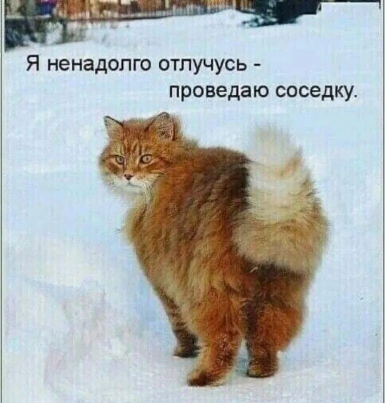 Открытка не уходи. Фото с надписью ты. Уходи картинки с надписями. А пока не уходи. Ухожу пока.