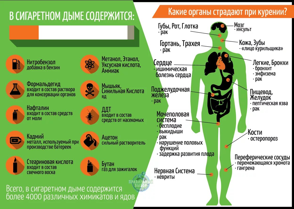 Органы страдающие при курении. Профилактика наркомании инфографика. Какие органы больше всего страдают от курения.