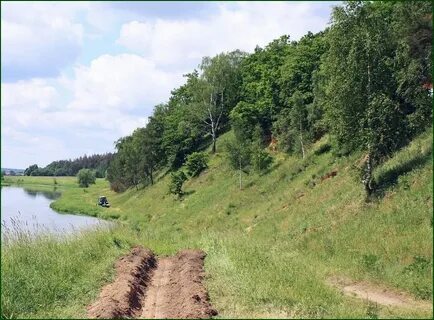 Висла дубрава