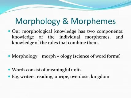Morphological features