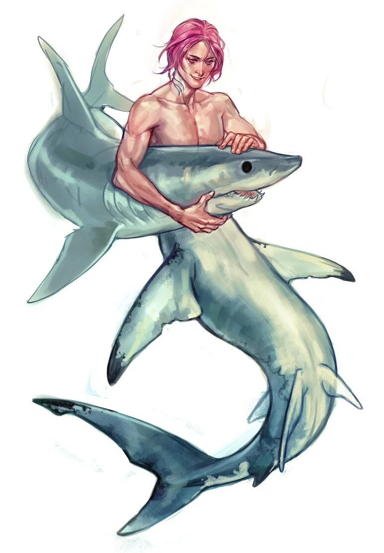Мацуока Рин акула РУСАЛ. Русалка акула референс. РУСАЛ акула парень арт. Русалы акулы. Shark human