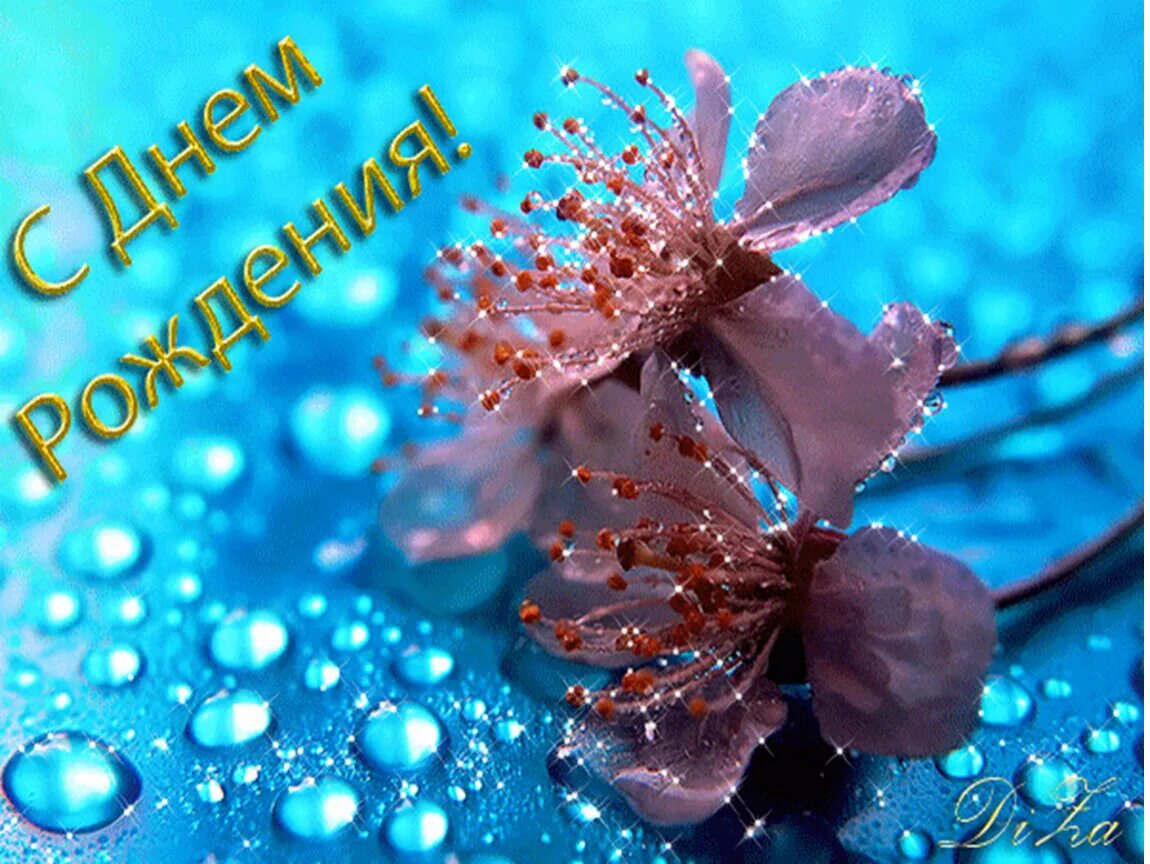 С днем рождения красивые природа. С днем рождения. Открытка. Красивые открытки. Открытка блестящая и очень красивые.