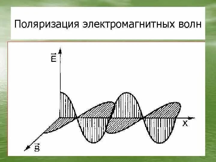 Поляризация электромагнитных волн. Электромагнитная волна макет. Линейная поляризация электромагнитных волн. Эллиптическая поляризация. Поляризация тел