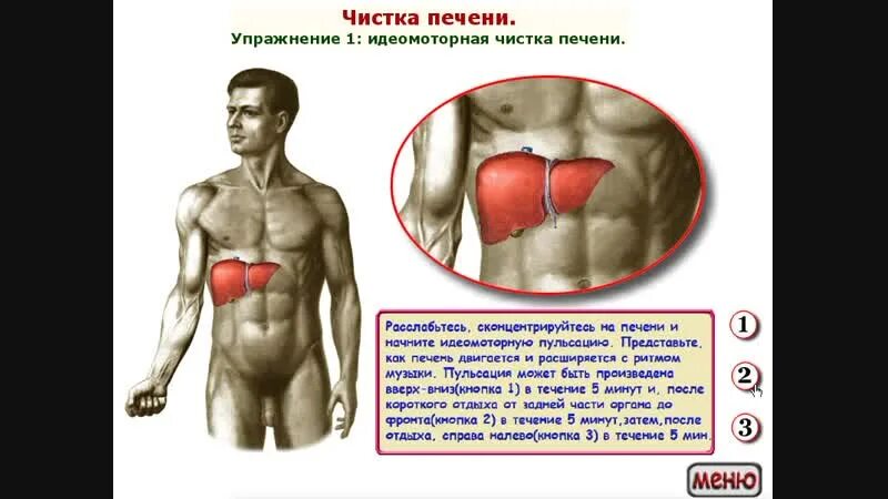 После чистки печени. Упражнения для печени. Тренировка печени. Очищение печени с упражнениями. Упражнения для чистки печени.