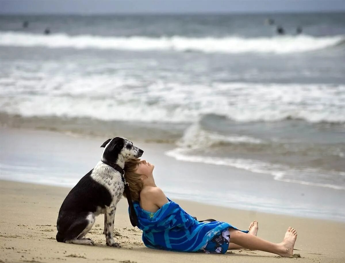 Человек с собакой на море. Собака на пляже. Позитивные фото. Девушка с собакой у моря.