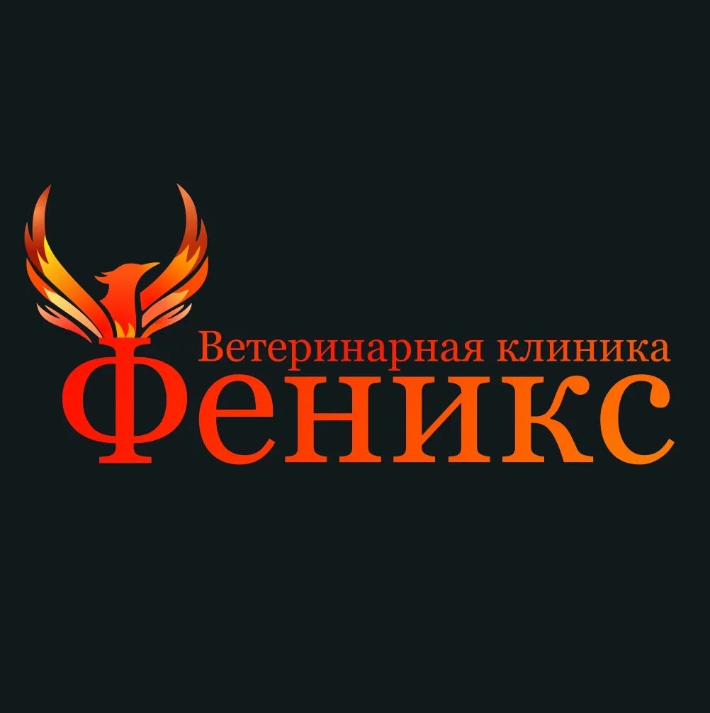 Ветклиника череповец телефон. Феникс ветеринарная клиника. Ветклиника Феникс Череповец врачи. Феникс медицинский центр. Городецкая 16 Феникс Череповец.