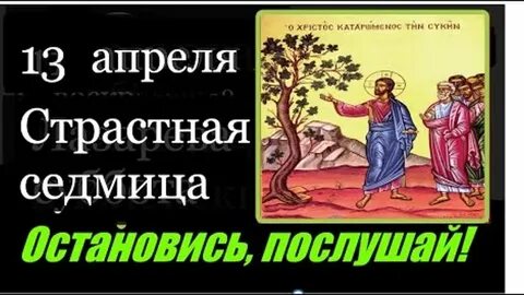 Евангелие дня страстной понедельник