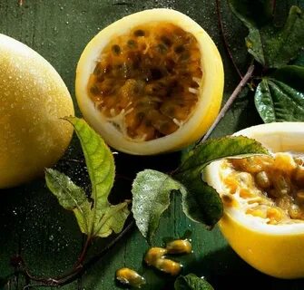 Маракуйя прибрежное