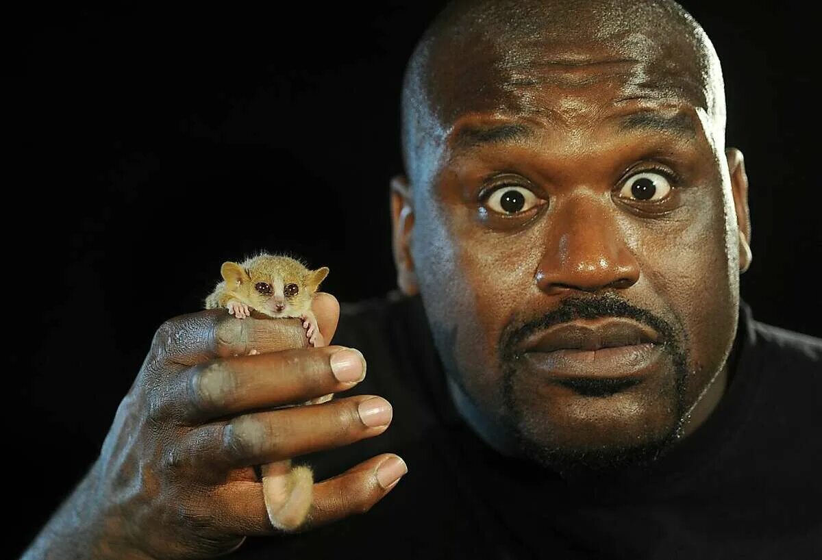 Нилу мем. Shaquille o'Neal memes. Shaquille o'Neal Мем. Взгляд негра.