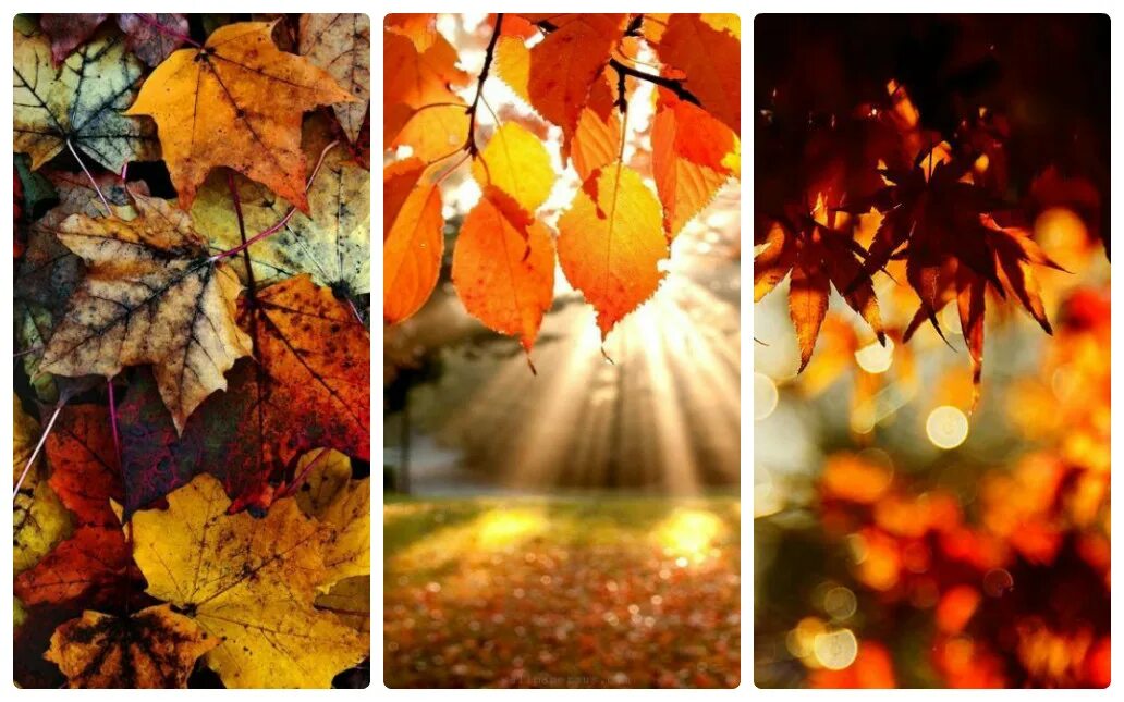 The autumn days cold