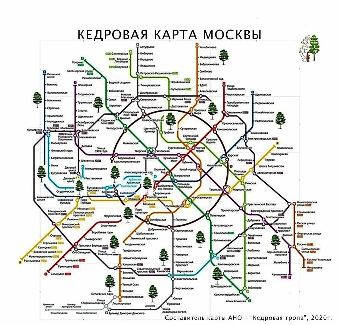 Карта метро москвы измайлово. Метро Кедровая на карте Москвы. Метро Измайловская на карте. Измайлово метро на карте.