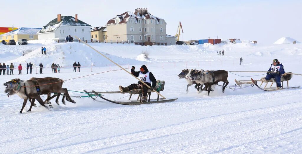 Центр арктического туризма  Ненецкий автономный. Работа в ненецком автономном округе