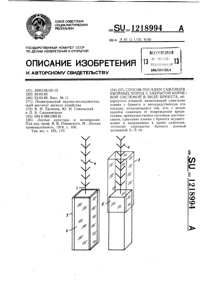 Посадка лесных культур с закрытой корневой системой. Труба для посадки саженцев с закрытой корневой. Труба для посадки сеянцев с ЗКС. Труба для посадки саженцев с закрытой корневой системой.