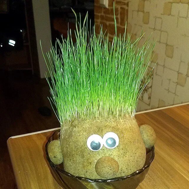 Трава подстрижена жареный. Травянчик Домовенок. Игрушка с травой на голове. Травянчики в детском саду. Голова трава.