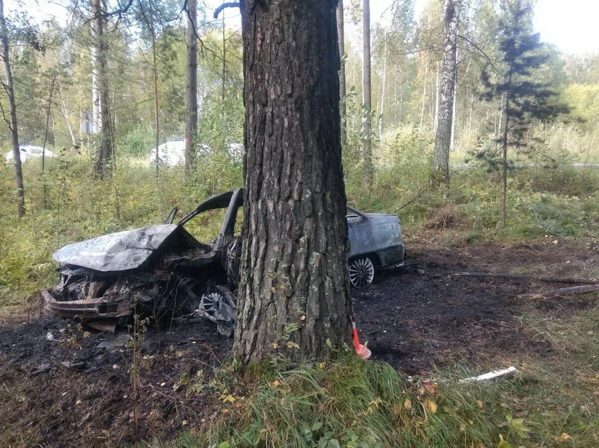 происшествия томск регион