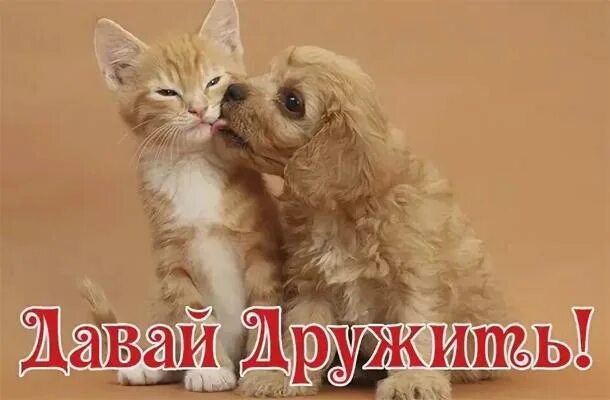 Давай дружить. Дружба это когда. Хорошо когда есть с кем поболтать. Давай будем дружить друг с другом стихотворение. Давай дружить.