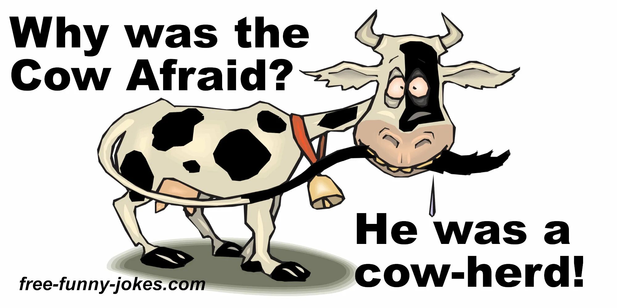 Cows are funny wordwall spotlight. Отработка cows are funny. i am cow. картинки по теме cows are funny. cows are funny 3 класс в картинках.