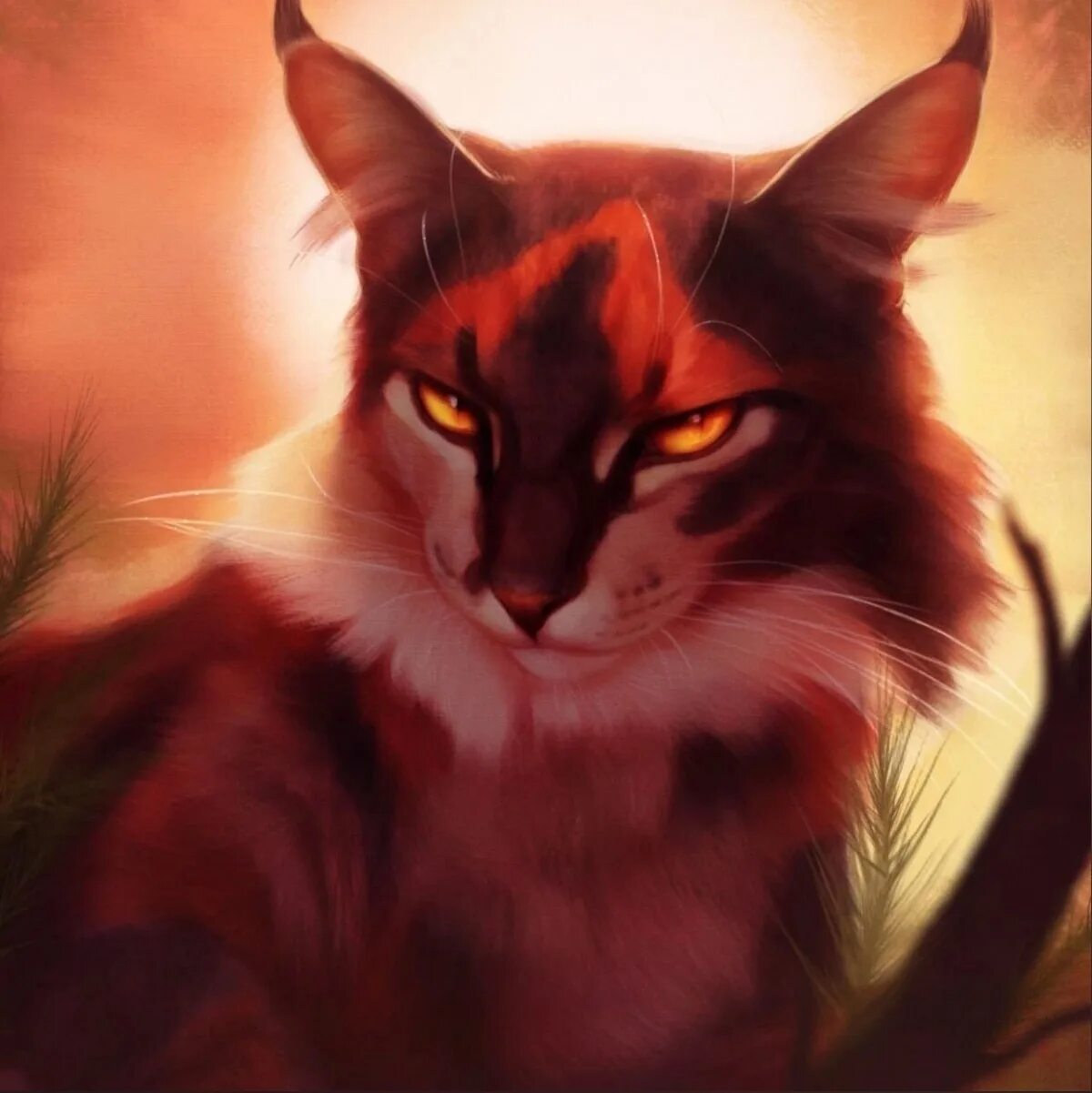 Кот сол. Коты воители кленовница. сол коты воители арт. кленовница эдит.