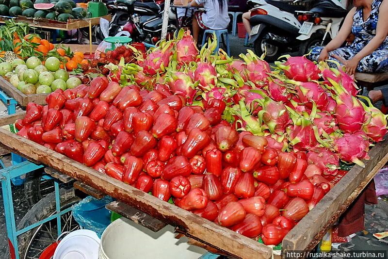 Вьетнам гастрономический. Местная кухня, морепродукты, фрукты и экзотика Polinav