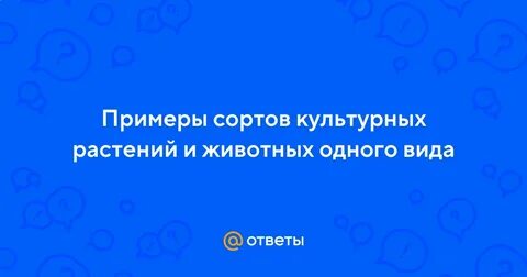 Примеры сортов любых
