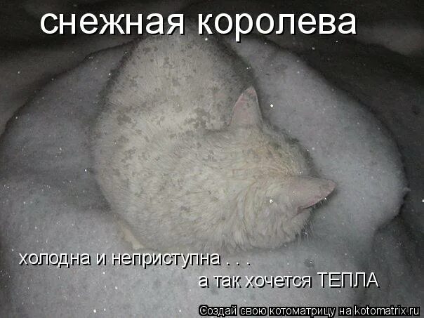 страстные стихи с добрым утром. хочу тепла и ласки. надоели холода хочется тепла цитаты. шутки про постель. душевное тепло цитаты.