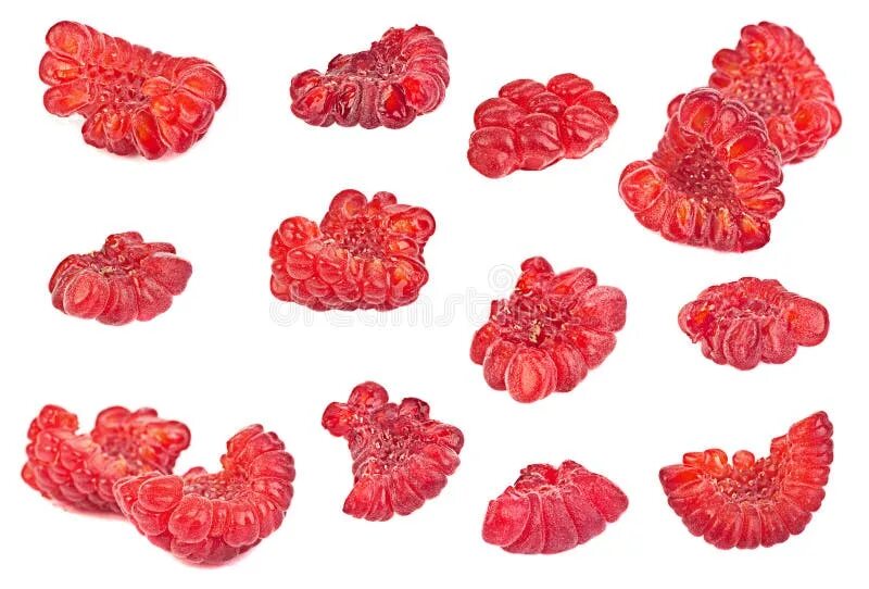 فائل:Raspberry - halved (Rubus idaeus).jpg - وڪيپيڊيا