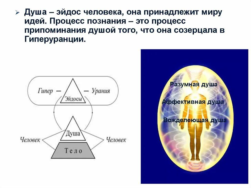 Мир идей кратко. Эйдос Платона. Мир идей эйдосов. Идея Эйдос это в философии. Теория эйдосов.