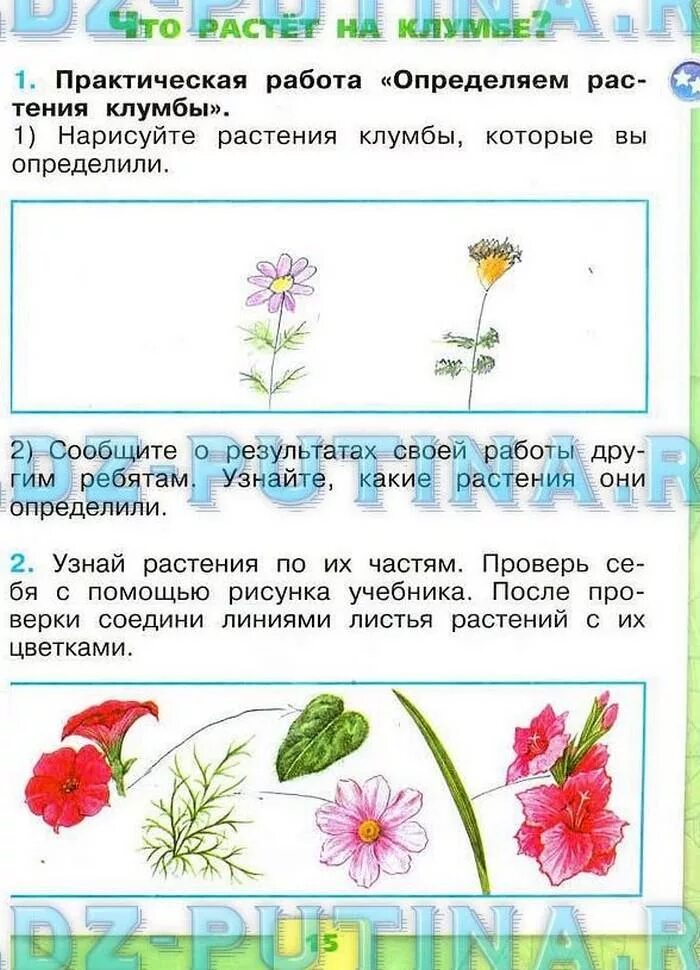 Окружающий мир 1 класс рабочая тетрадь 1 часть Плешаков страница 15. Окружающий мир 1 класс тетрадь стр 15,16. Окружающий мир 1 класс рабочая тетрадь 1 часть Плешаков ответы стр 16-17. Гдз по окружающему миру 1 класс рабочая тетрадь Плешаков стр 15.