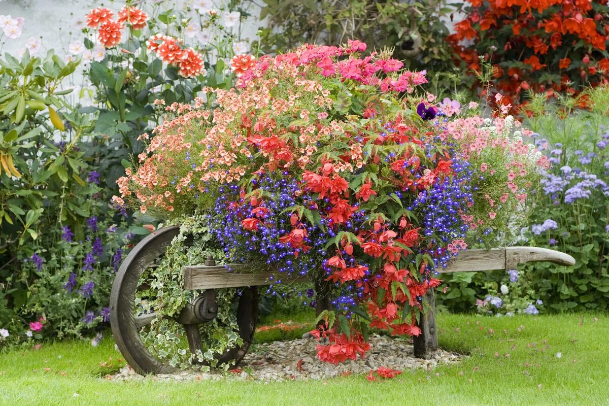Цветы на даче. Красивые композиции из цветов на даче. Клумбы в саду. Композиция цветочный сад. Цветущей клумбы