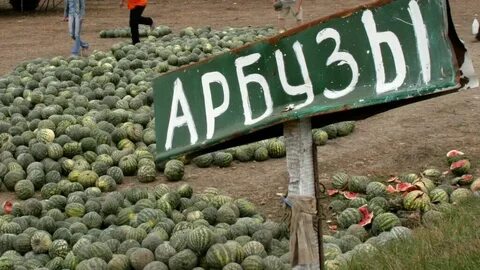 Арбуз наш слоняра