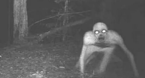 Қызға арналған үлкен мүшесі порно