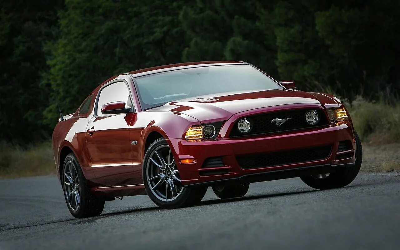 Мустанг производитель. Ford Mustang 2013. Форд Мустанг gt. Ford Mustang gt 2013. Mustang Ford Mustang.