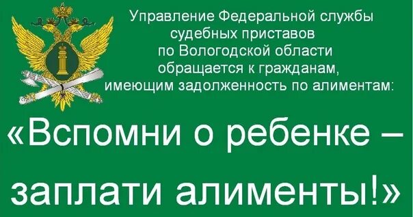 Задолженность приставы новгородская область. Приставам о задолженности по алиментам. Сайт судебных приставов задолженность по алиментам. ФССП алименты. Девиз судебных приставов.