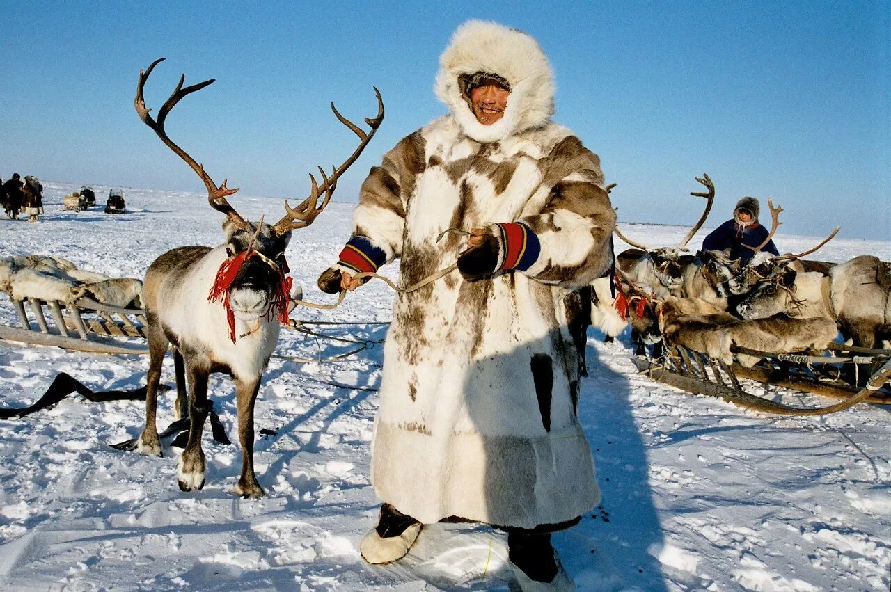 Народы тайги в россии. Эвенки, нанайцы, ненцы. Якуты, чукчи, Ханты, ненцы. Ненцы Ханты манси. Чукчи, Ханты, манси, якуты, ненцы.