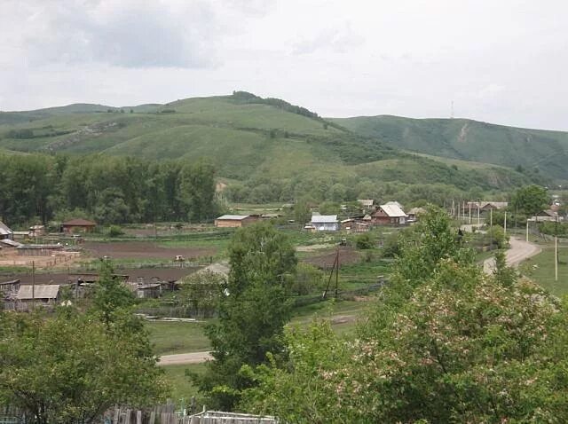 Погода солонешенский сибирячиха алтайский край. Сибирячиха Солонешенский район. Деревня Сибирячиха Алтайский край. Село Солонешное Алтайский край. Деревня Сибирячиха Солонешенский район деревня.