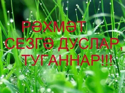Рэхмэт бик
