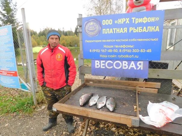 Крх барыбино русфишинг. Рыбалка в Андрейково. Фото объявление платная рыбалка. Платная рыбалка в Солнечногорском районе. Платная рыбалка в Маланино.