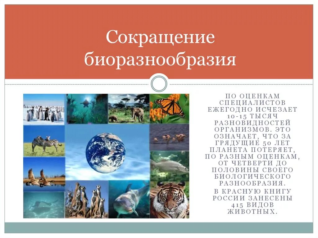 Сокращение видового разнообразия биосферы. Сокращение биологического разнообразия. Сокращение биоразнообразия. Уменьшение биоразнообразия. Проблема сокращения биоразнообразия.