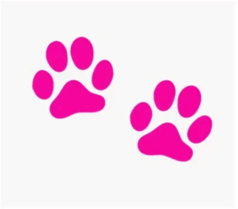 Лапки телеканал. Отпечаток лапки кота розовый. Кошачьи следы розовые. Розовые лапки. Розовые Отпечатки лап.
