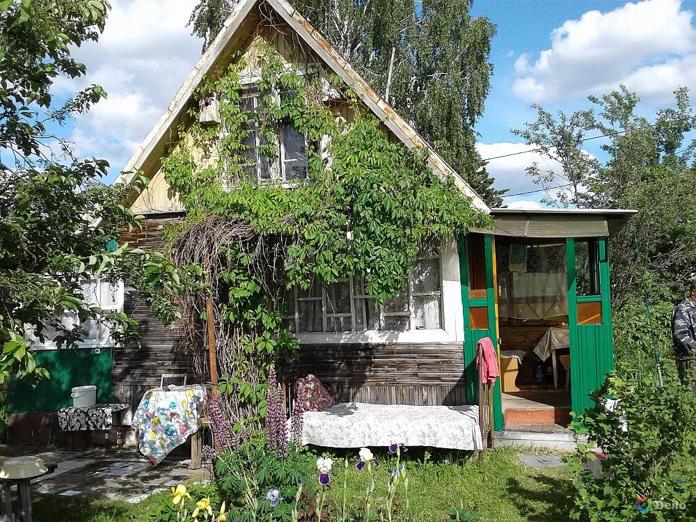 Дача снт озера. Снт механизатор новосибирск. дача в новосибирске. дом для дачи новосибирск. голубые озера дача новосибирск.