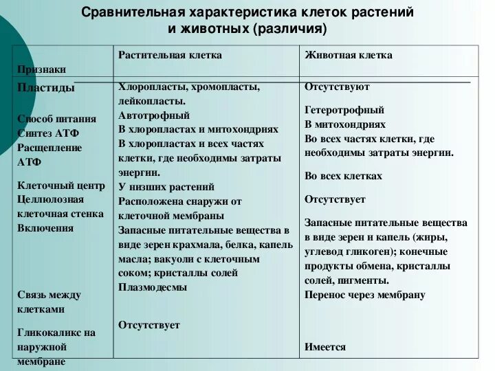 Клетки растений и животных различия сходство. Черты сходства растительной клетки и животной клетки таблица. Сравнить строение растительной и животной клетки таблица. Сходства и различия строения клеток растений и животных. Отличия в строении растительной и животной клетки.