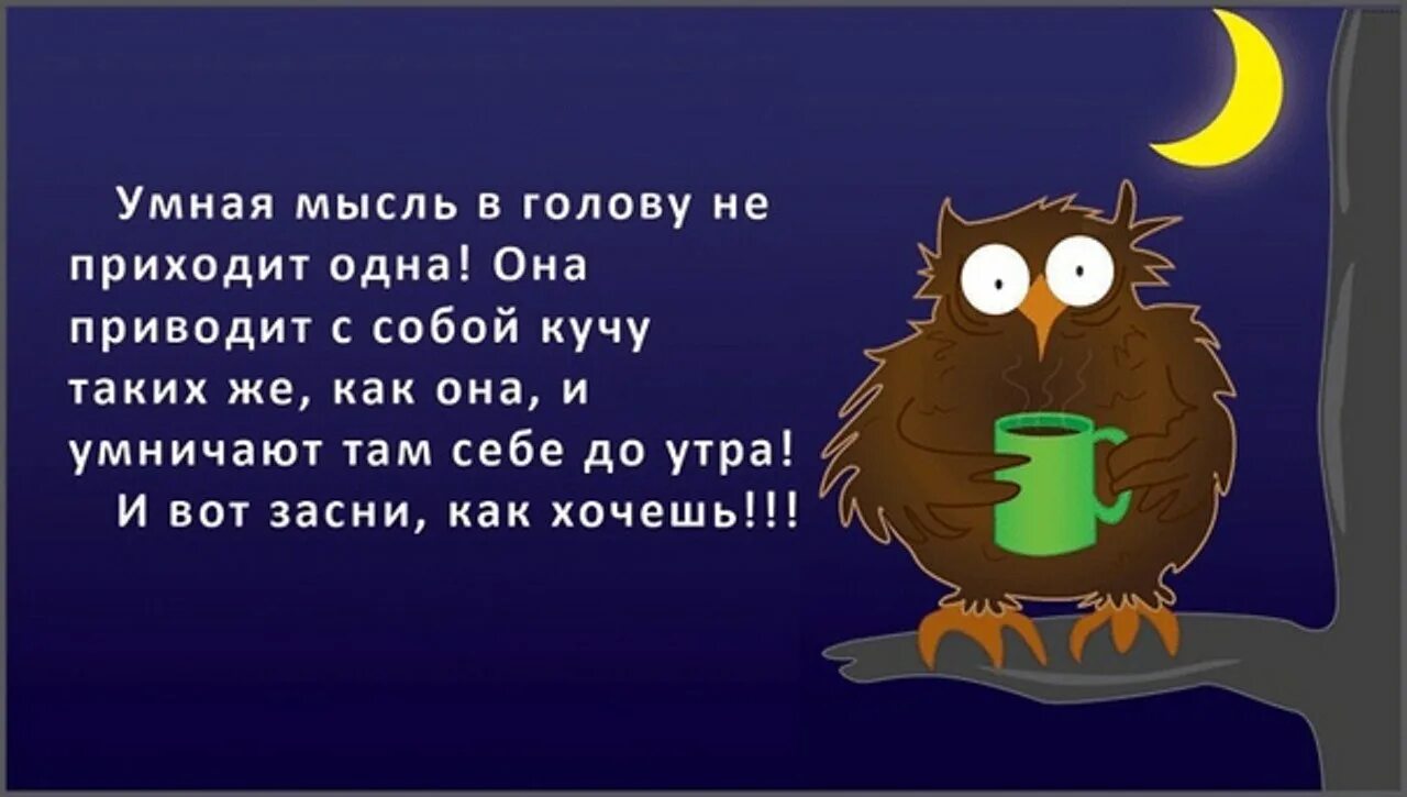 Приходят плохие мысли. Умные мысли в голове. Мудрые мысли перед сном. Умные мысли на ночь юмор. Смешные высказывания про ночь.