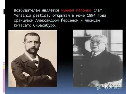 Чума ученые