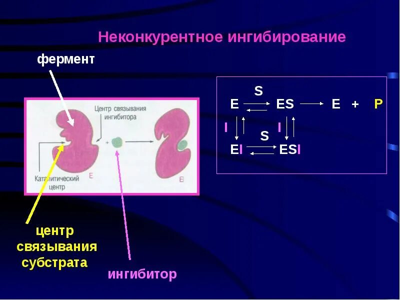 Конкурентное ингибирование ферментов. Ингибирование схема. Схема неконкурентного ингибирования. Схема конкурентного ингибирования.