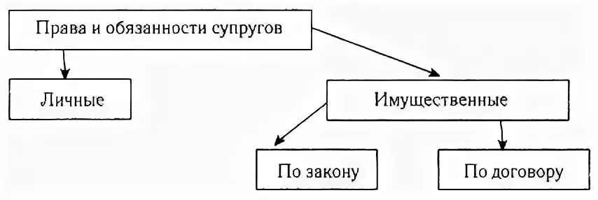 Обязанности супругов виды