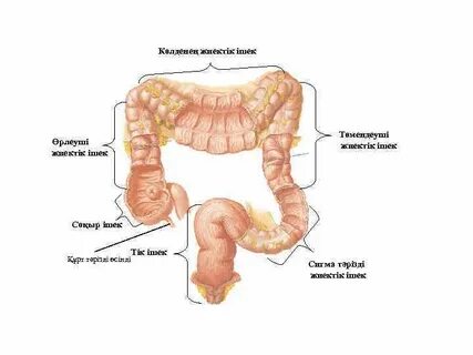 Липецктегі аяқ фетишінің эскорттары