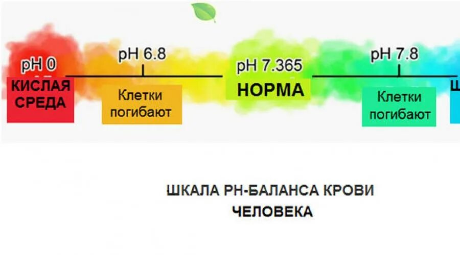 Показатель (РН) крови в норме. Водородный показатель PH крови. Норма РН крови у человека. Кислотно-щелочной баланс крови нормальные показатели.