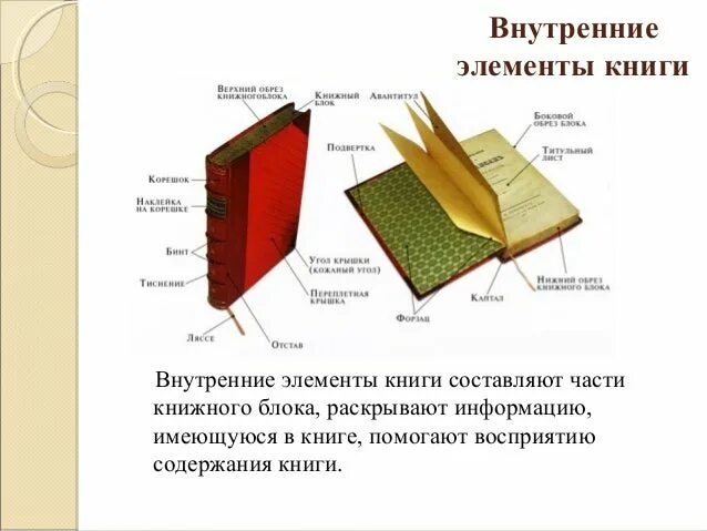 Как называется 4 книги. Аппарат книги. внутренние элементы книги. элементы аппарата книги. справочный аппарат издания.
